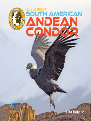 cover image of All About South American Andean Condors